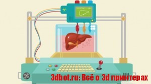 3D-биопринтинг - печать человеческих органов