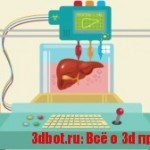 3D-биопринтинг — печать человеческих органов