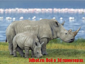 Стартап разработал искусственный рог носорога