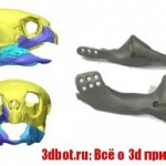 Черепаха получила протезы, отпечатанные на 3D принтере