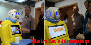 Робот-помощник для пожилых людей сделан на 3d принтере