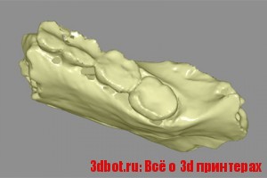 Кости нового вида человека открыты для 3D печати