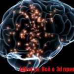 3D печатный мозг