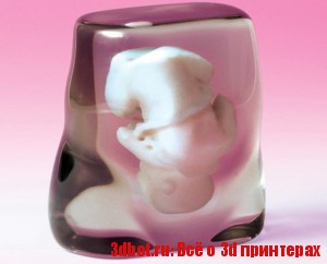 3d модель зародыша человека