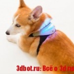 3D печать для собак