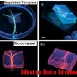 Развитие 3D биопечати в Японии