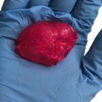 Сердце распечатали на 3D принтере