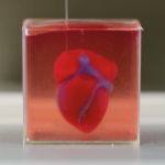 Испытания лекарств на 3D печатных образцах сердечных тканей