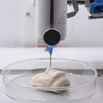 3D-печать бактериальным биокомпозитом