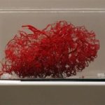 3D-печать кровеносных сосудов